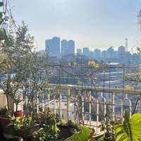 植物男子ベランダーを忘れていませんか すー Note