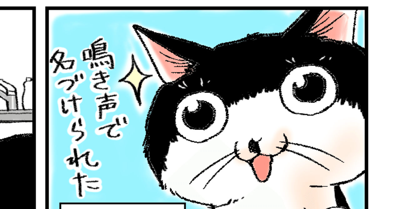 猫から見た発達障害 No1｜ナナトエリ 亀山聡｜note
