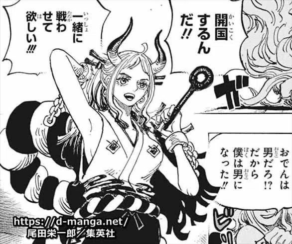 ワンピースにはこんなおもしろい仕掛けがあるんです。ただ読むだけの