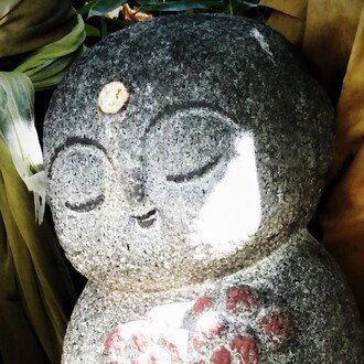 元気が出る の新着タグ記事一覧 Note つくる つながる とどける