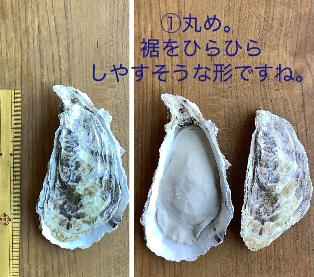 隣の客(牡蠣)セミオーダについて｜江間ミク
