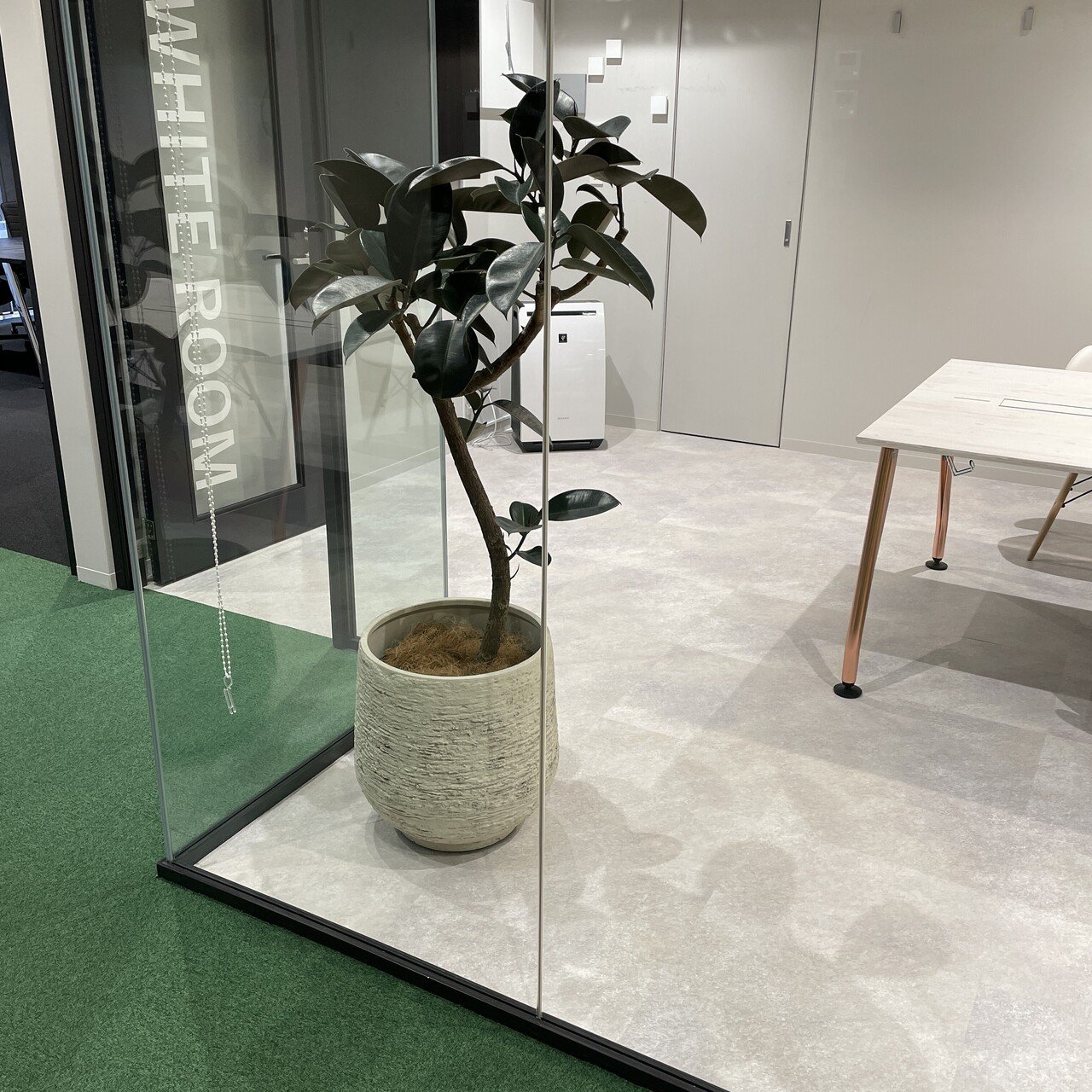 観葉植物はじめました Flosta Inc Note