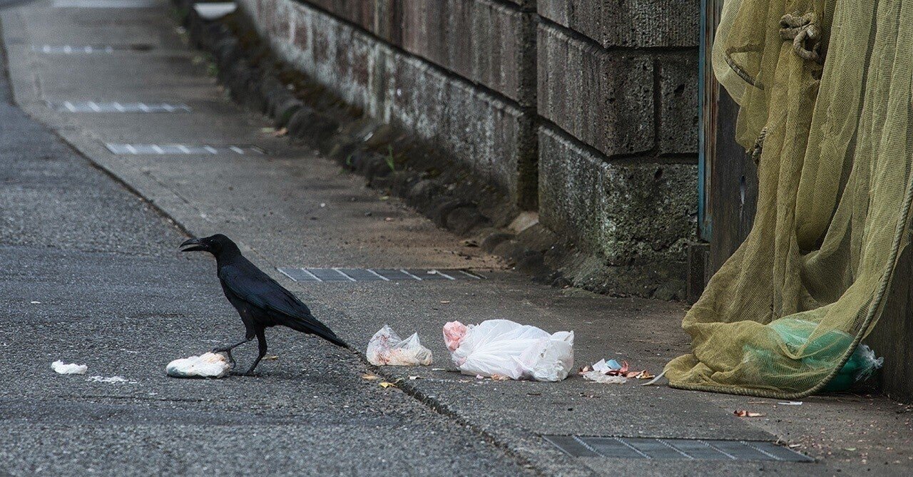 はじめましてカラス 偽物 です カラス 偽物 Note