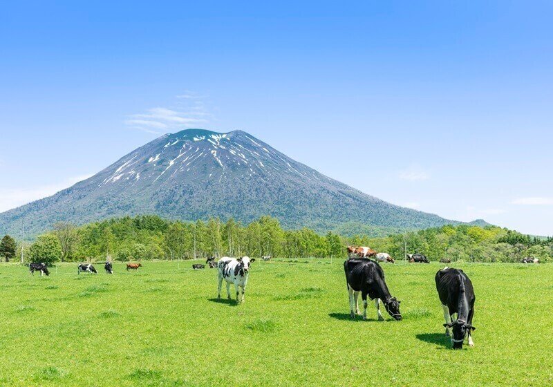 北海道のリゾートバイト特集16