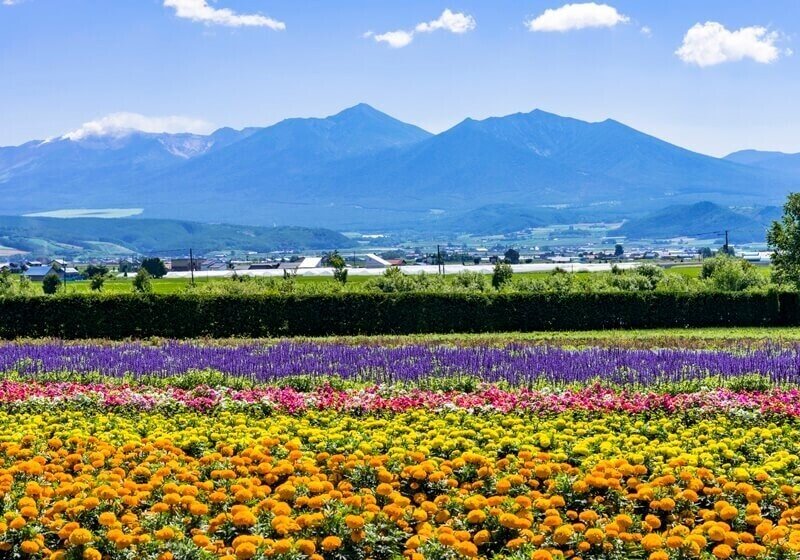 北海道のリゾートバイト特集13