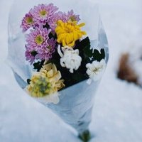 ニール スティーヴンスンが 七人のイヴ で描く迫真の近未来 sf研究家 牧眞司の解説 アクチャルな宇宙 迫真の未来 人類の選択 Hayakawa Books Magazines B ニール スティーヴンスンが 七人のイヴ で描く迫真の近未来 sf研究家 牧眞司の解説 アクチャルな宇宙 迫真の未来 人類の選択 Hayakawa Books Magazines B