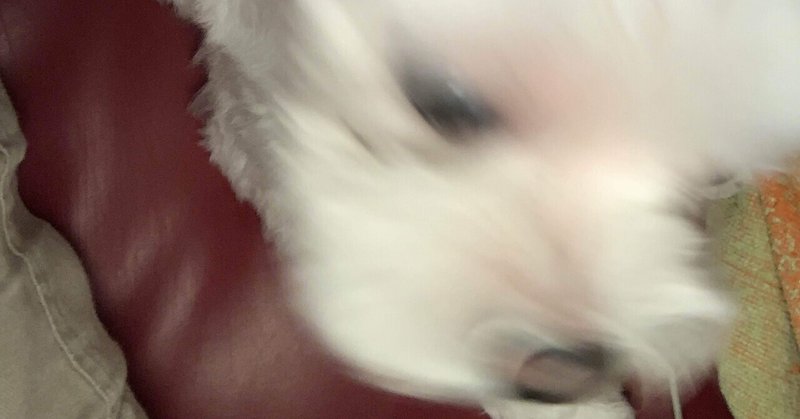 思ってたんとちがう すちを Note 思ってたんとちがう すちを Note