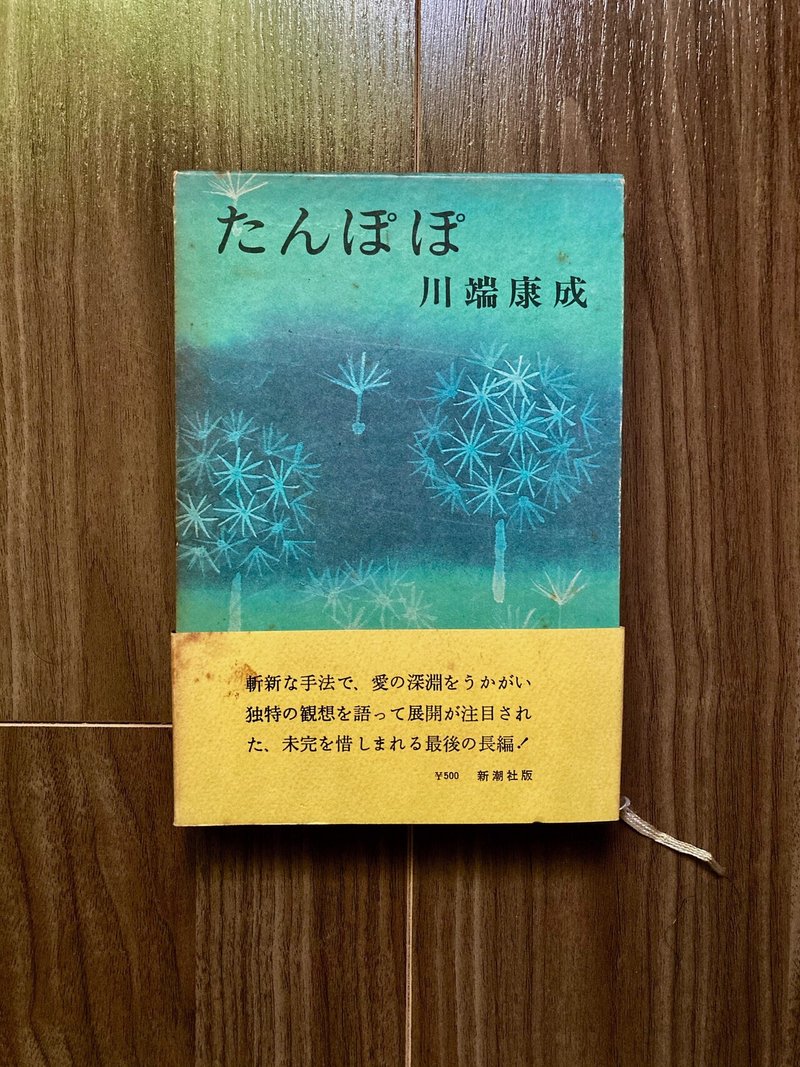 人体欠視症 と 未完の美 について 花子出版 Hanaco Shuppan Note