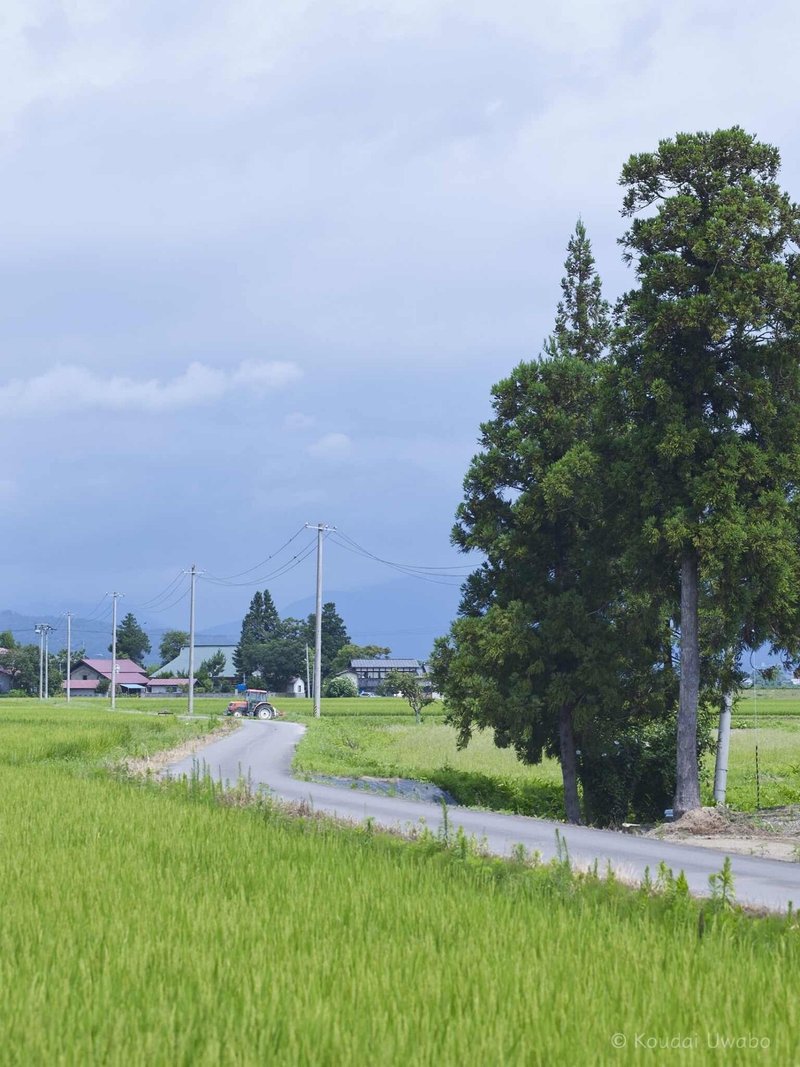 のどかな風景 上保 昂大 Note のどかな風景 上保 昂大 Note