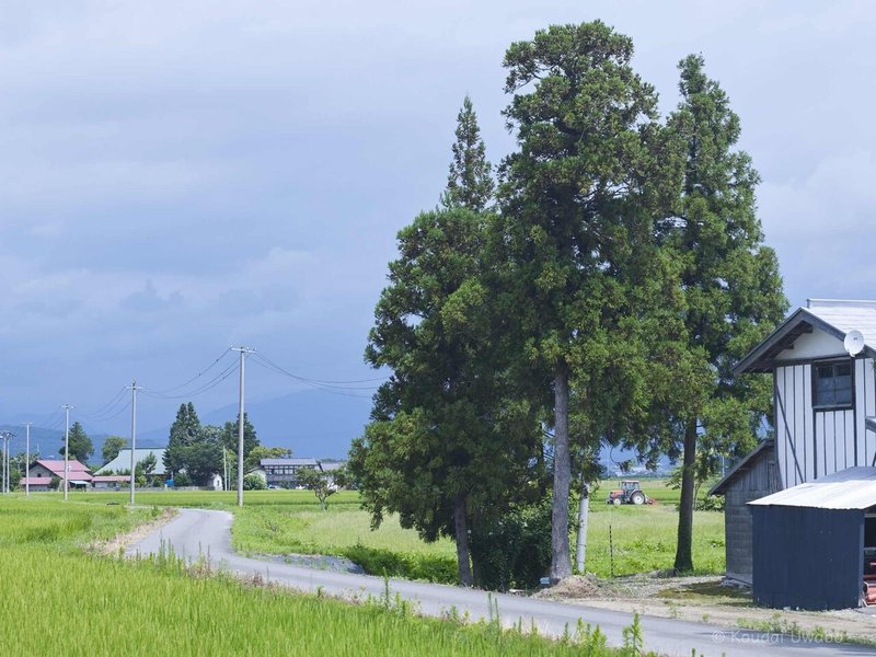 のどかな風景 上保 昂大 Note