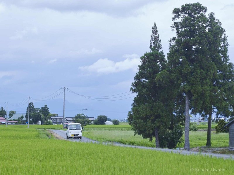 のどかな風景 上保 昂大 Note