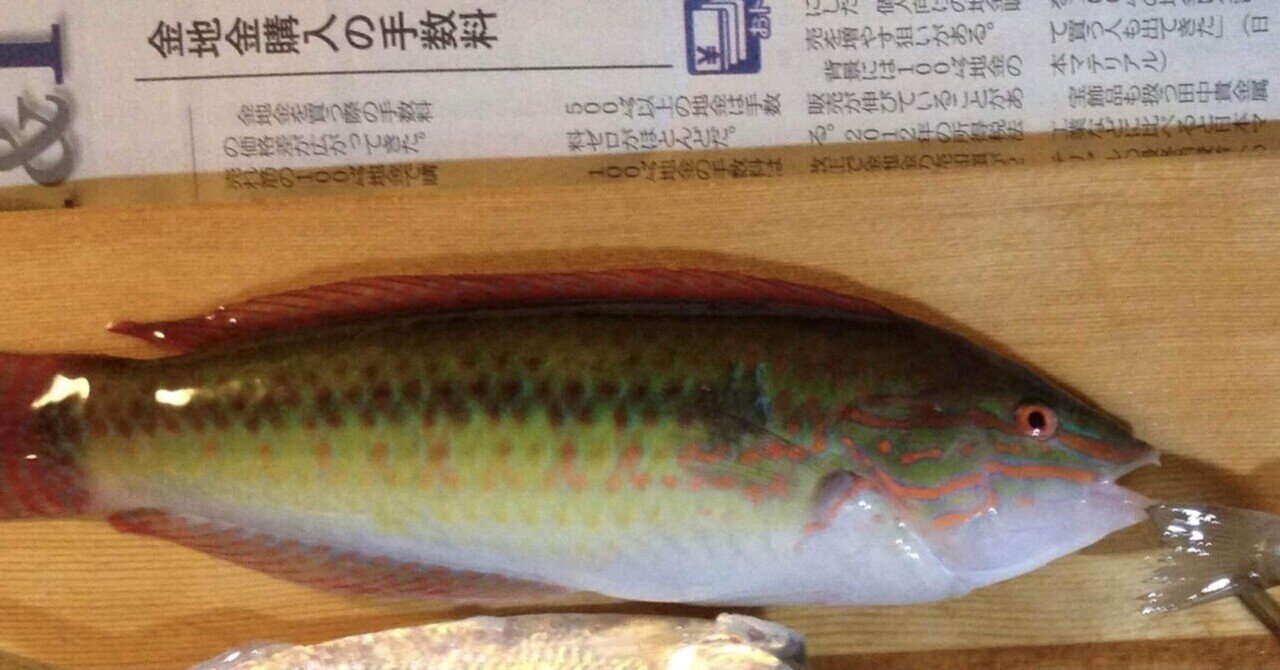 ベラの刺身を食べてみた つりキッチン Note