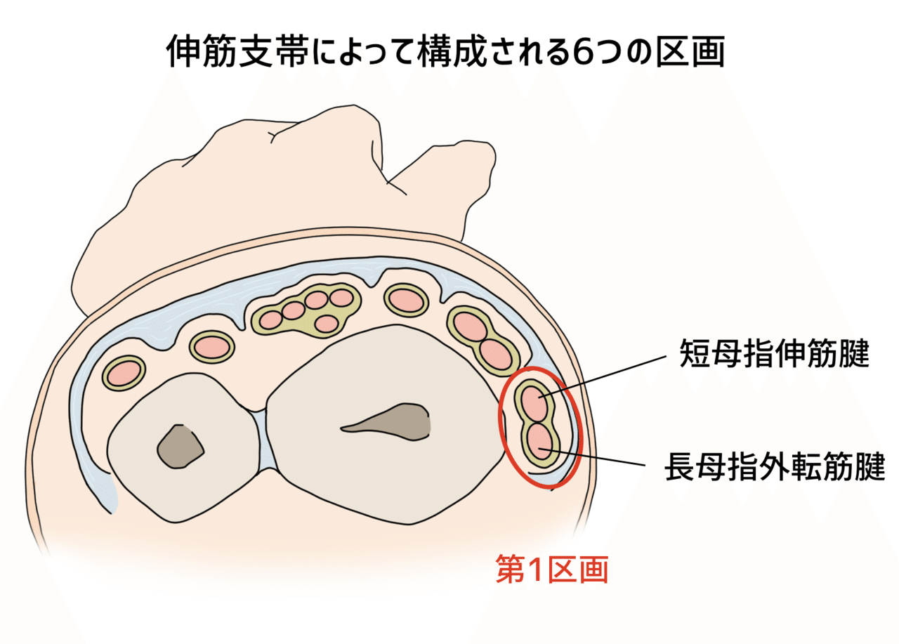 し