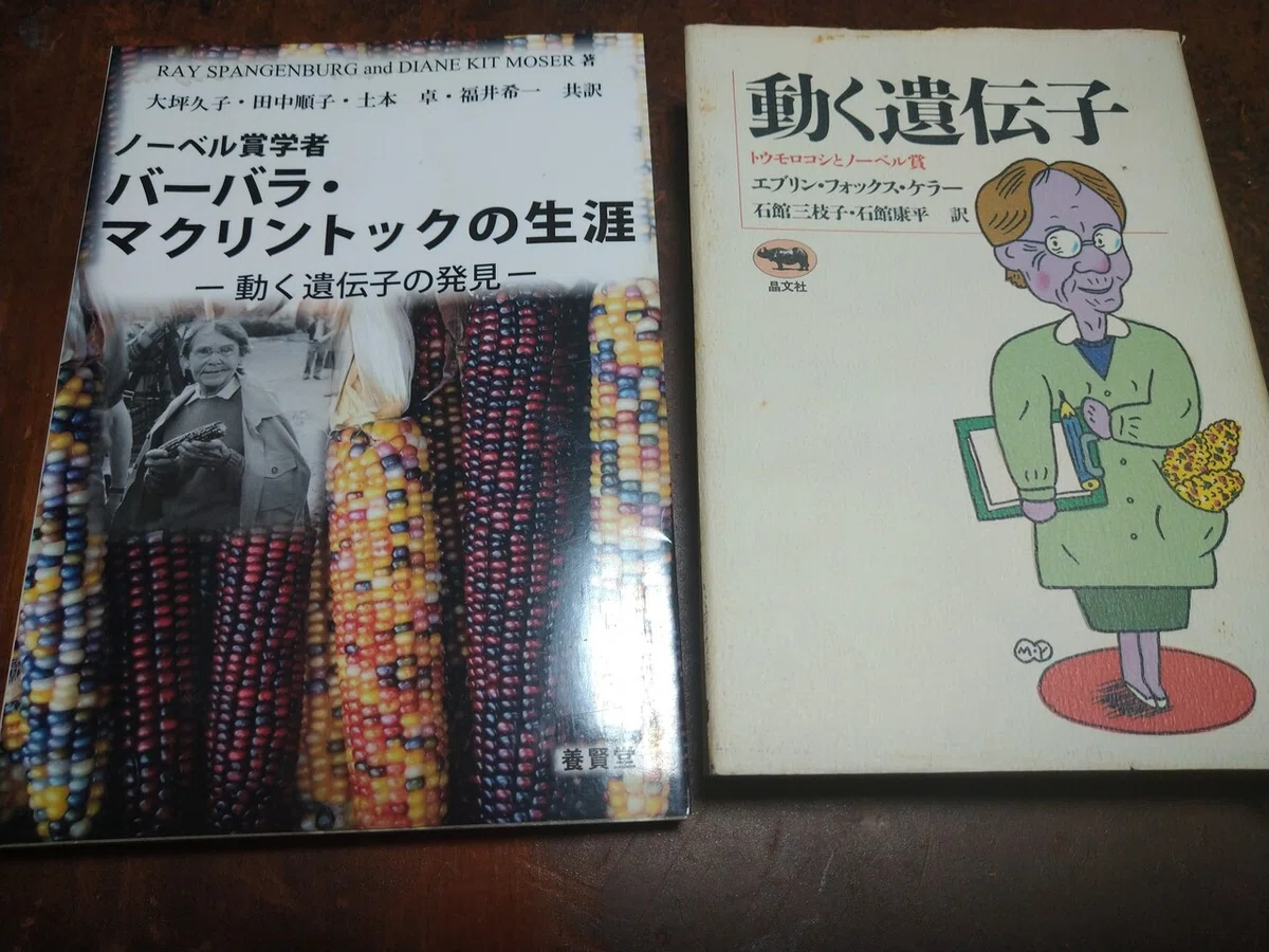 画像2