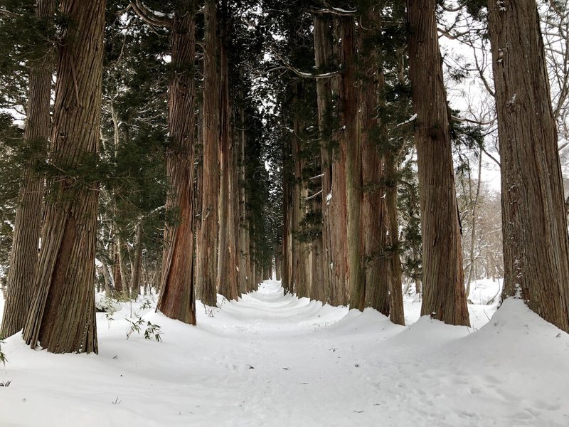 長野県のパワースポット 冬の戸隠神社奥社の杉並木へ行ってみた 3密回避 溝部 潤也 国内旅行コンシェルジュ Note 長野県のパワースポット 冬の戸隠神社奥社の杉並木へ行ってみた 3密回避 溝部 潤也 国内旅行コンシェルジュ Note