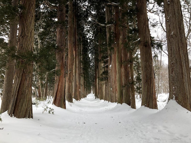 長野県のパワースポット 冬の戸隠神社奥社の杉並木へ行ってみた 3密回避 溝部 潤也 国内旅行コンシェルジュ Note