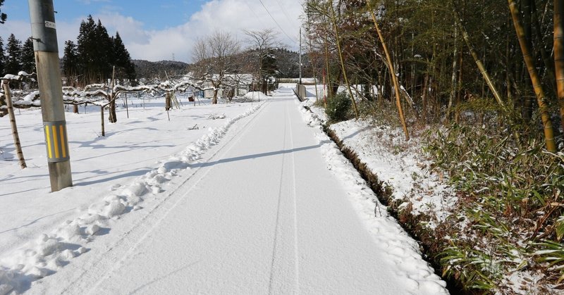 ひとまず札幌での挨拶回り終わり/衆議院補欠選挙北海道2区候補予定者おだたゆたか/世問う国民党｜kujirakun｜note
