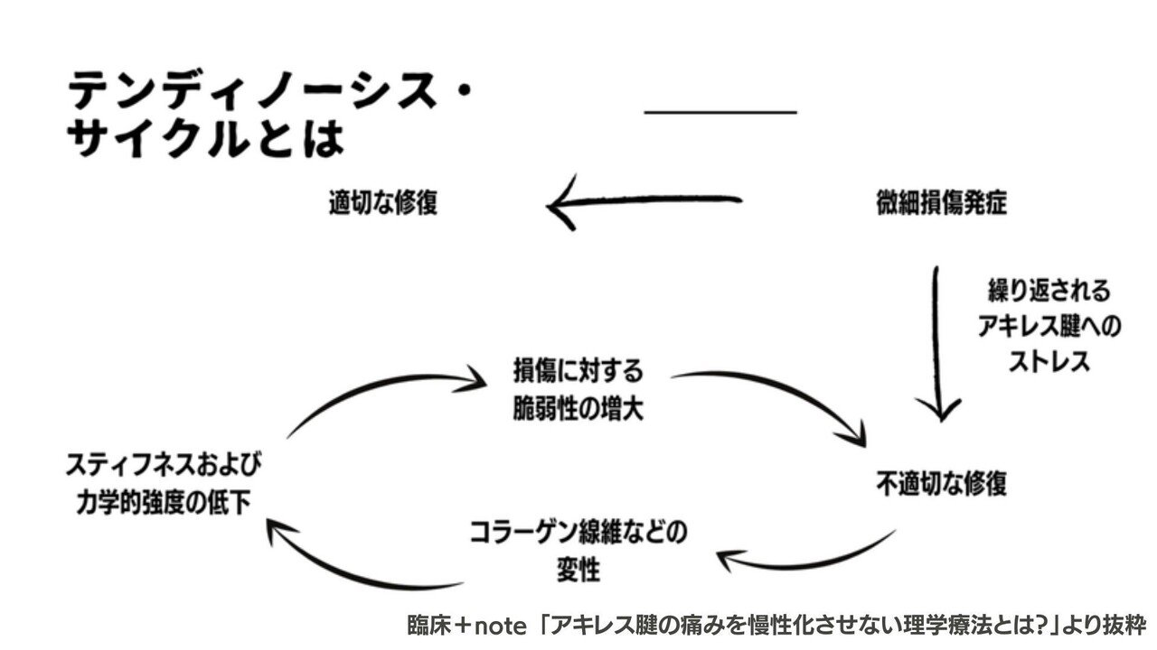 DVD さらに使える腱引き療法