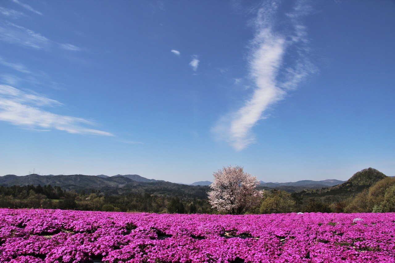 はじめまして 広島県世羅町で観光農園 世羅高原農場 を経営しています 吉宗誠也 Wonderwheel Note
