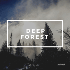 Deep_Forest