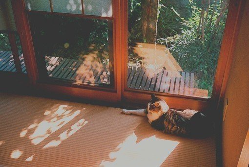 中絶薬ru486 精力剤 増強精力 Note