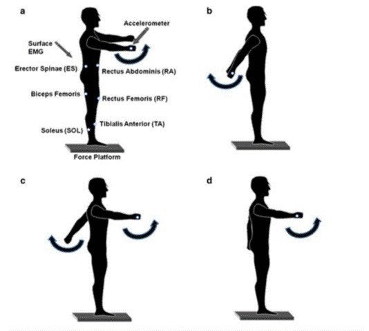 定型発達の子どもの予測的姿勢制御 Anticipatory Postural Adjustments In Children With Typical Motor Development 子どものセラピーに必要な支点 Note