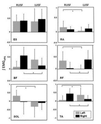 定型発達の子どもの予測的姿勢制御 Anticipatory Postural Adjustments In Children With Typical Motor Development 子どものセラピーに必要な支点 Note
