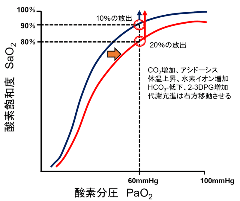 酸素解離曲線のボーア効果と臨床的な注意点 Lifting The Apex Note