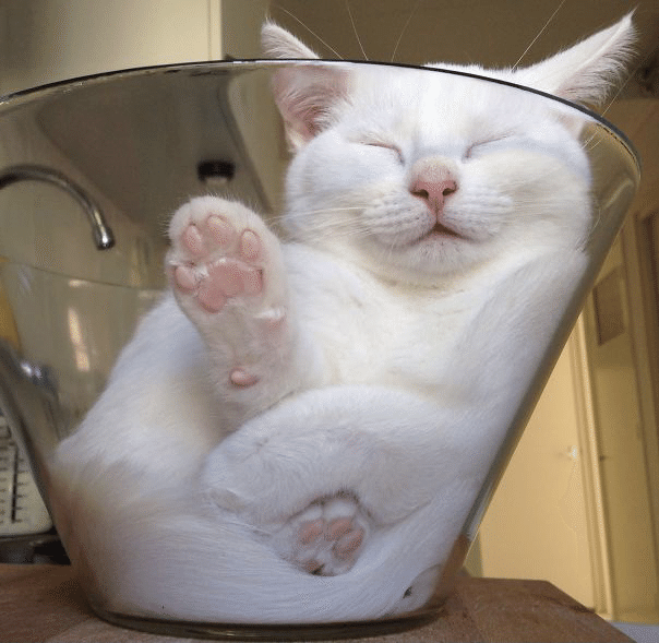 ねむり猫はどこにいる 6 ノリノリ Note
