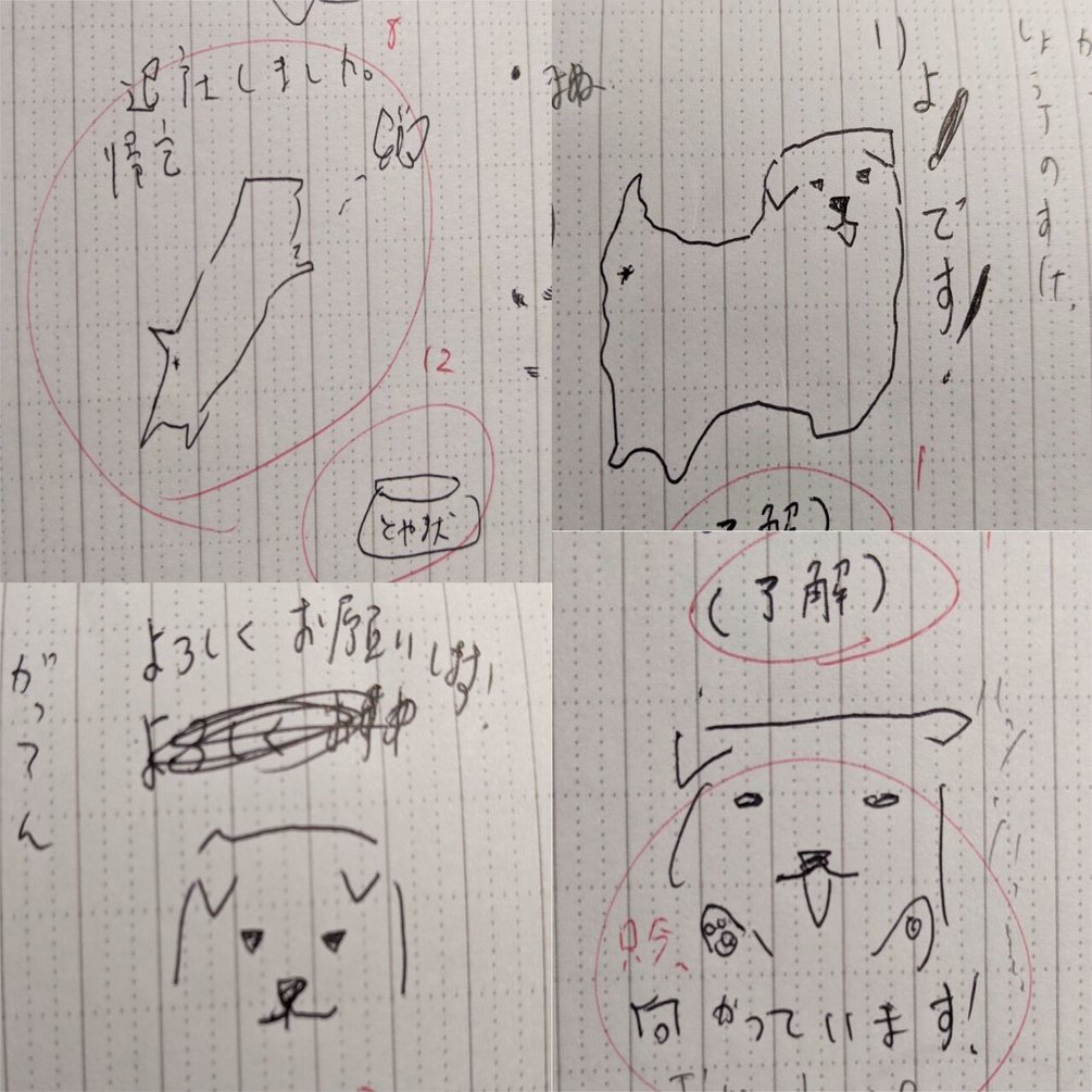 連載 第４回 こうしてとやま犬はうまれた ２ 喜代多旅館 富山 Note