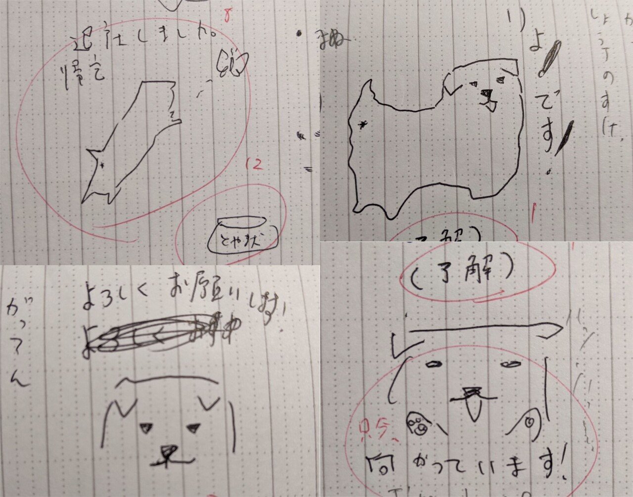 連載 第4回 こうしてとやま犬はうまれた 2 喜代多旅館 富山 Note 連載 第4回 こうしてとやま犬はうまれた 2 喜代多旅館 富山 Note