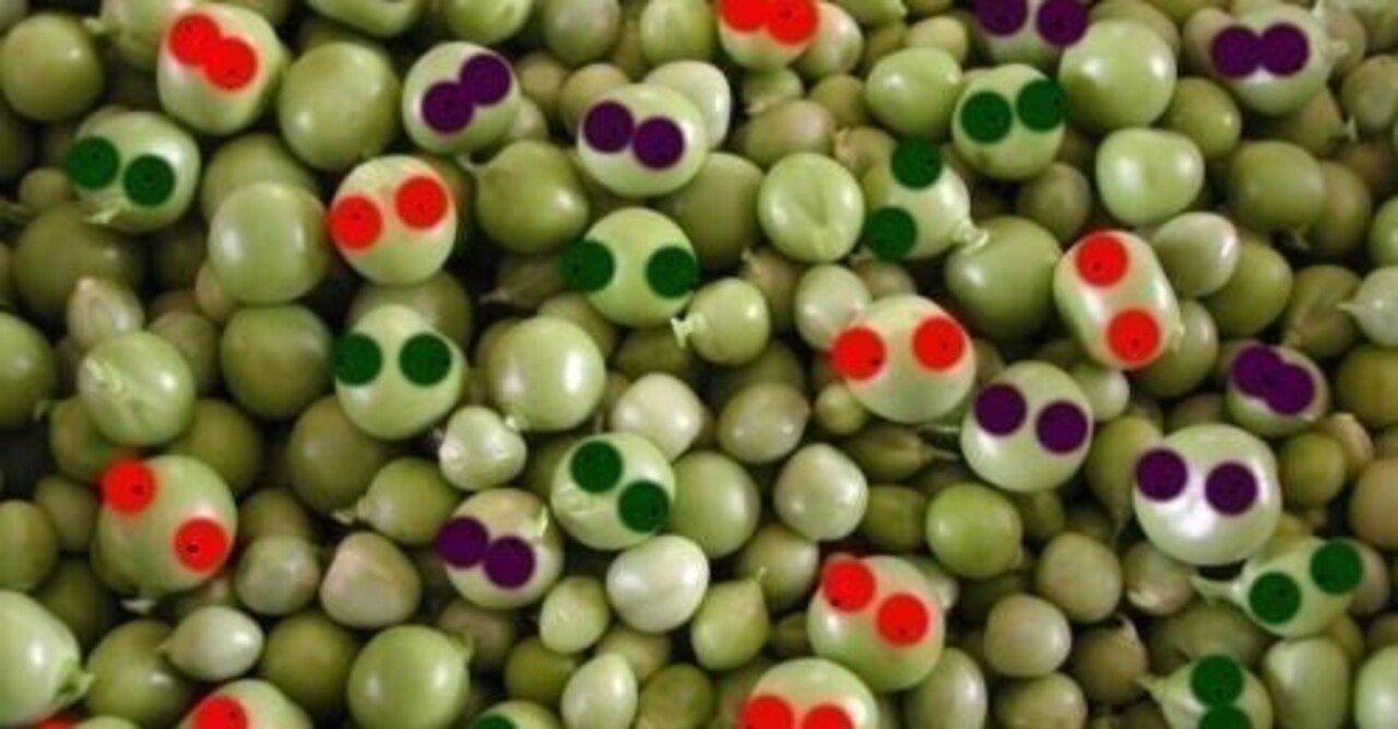 初めて知った豆苗 グリンピース まる48社長 Note