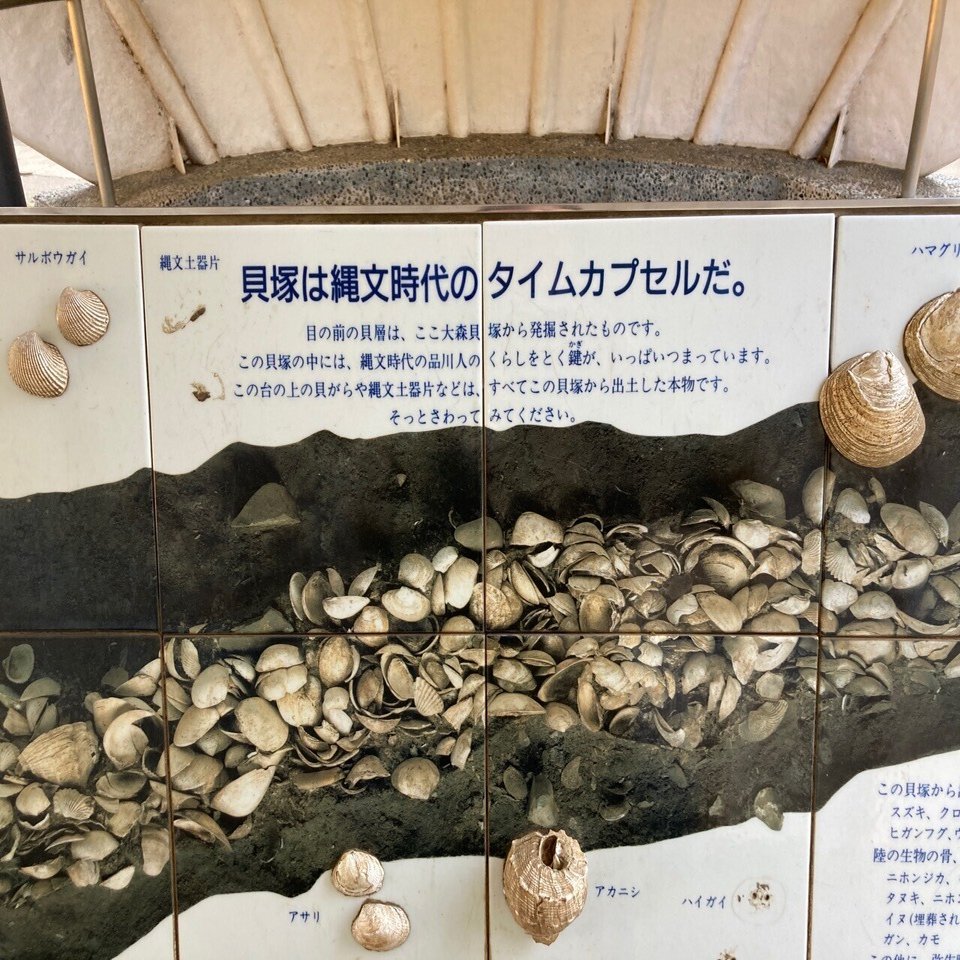 都内の縄文遺跡をめぐる④ 大森貝塚／すべては、ここからはじまった