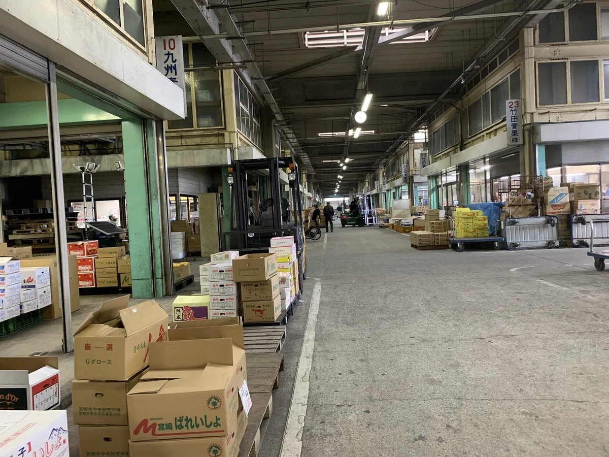 画像2