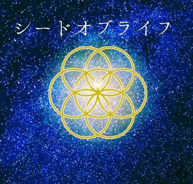 ベクトル平衡体（フラワーオブライフ） ベクトル平衡体 水晶