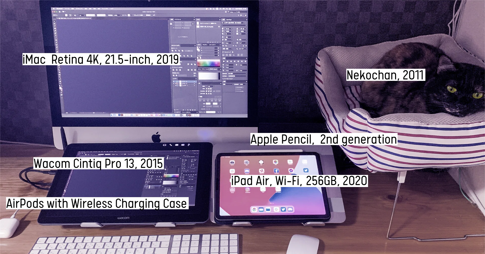 iPadと液タブはどちらが良いのか…グラフィックデザイナーの模索作業 