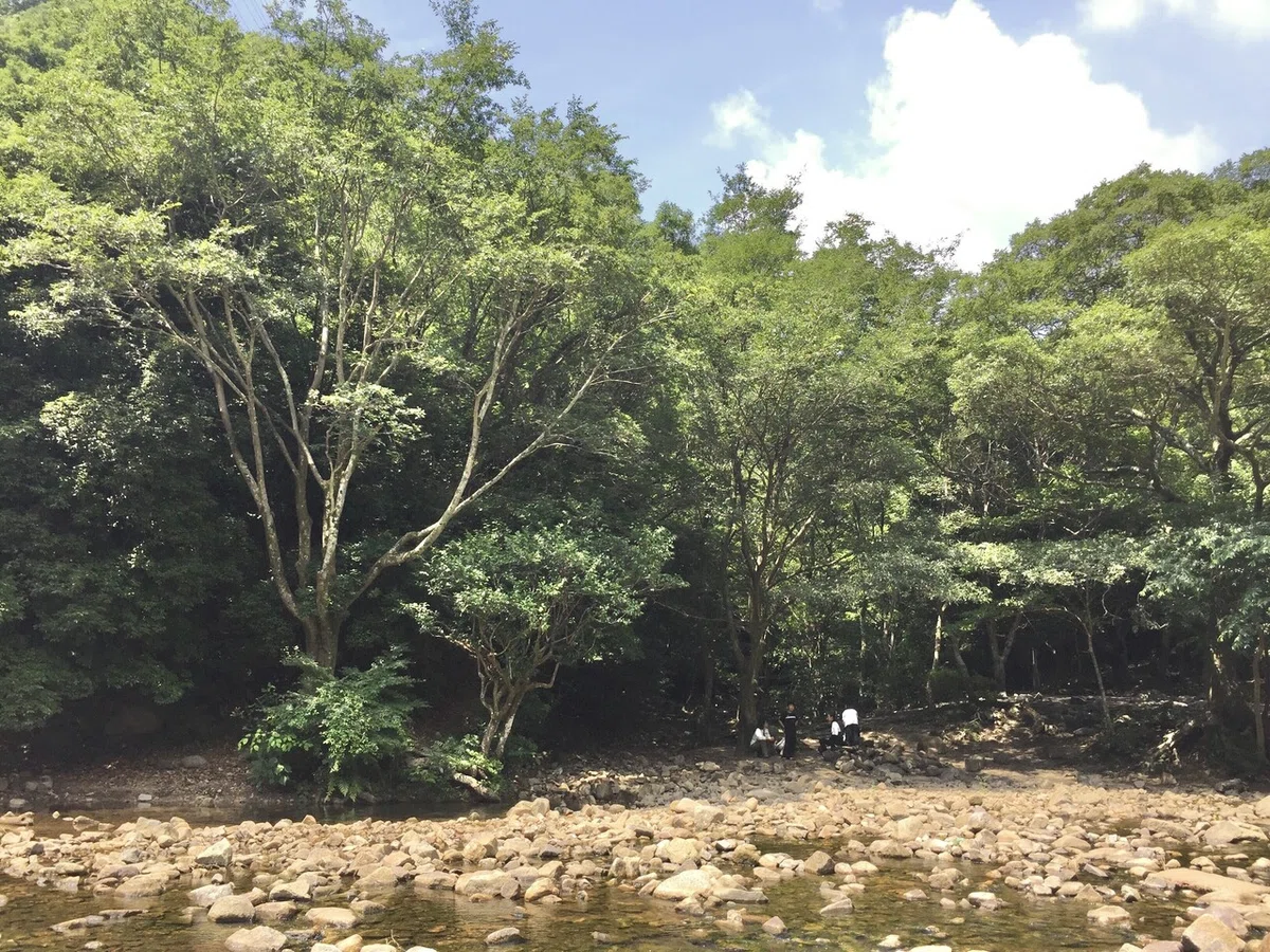 画像3