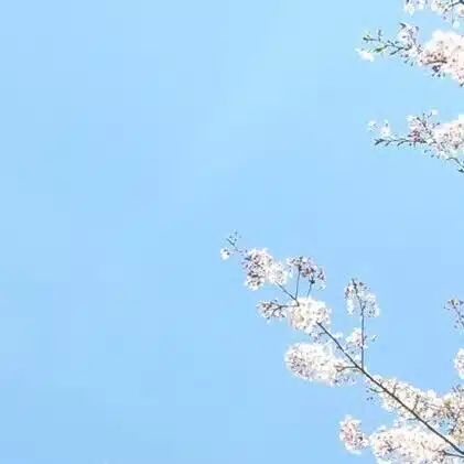 芳岡なつき