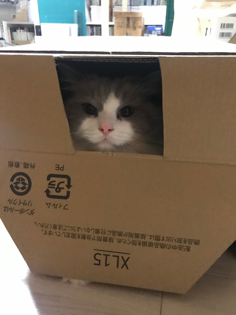 猫戦車 林譲治 Note