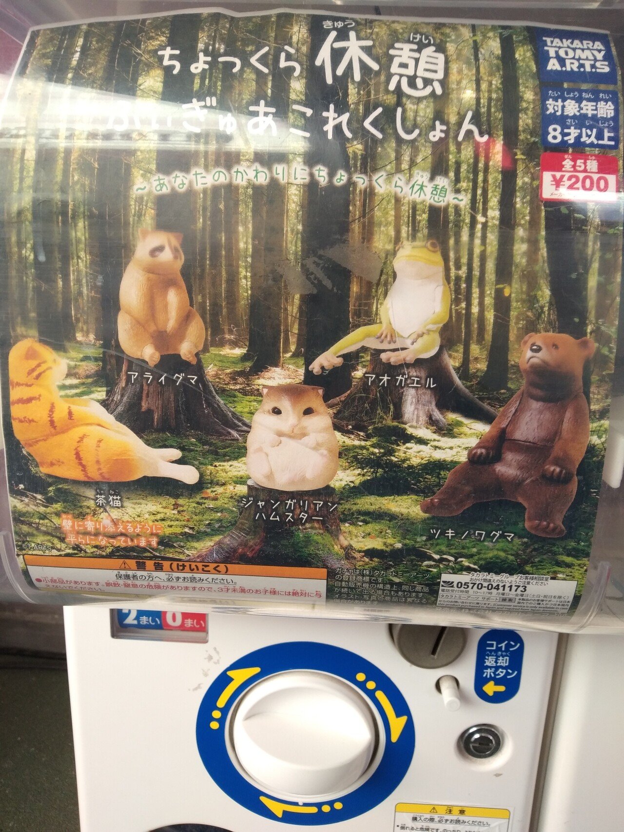 切り株ダイスキガチャガチャ ちょっくら休憩 0円 ちゃんは辛そうなポーズではないかと もフツーにしゃがんだほうが楽そうよ おれさま 鳥裸族 Note 切り株ダイスキガチャガチャ ちょっくら休憩 0円 ちゃんは辛そうなポーズではないかと もフツーにしゃがんだほうが楽そうよ おれさま 鳥裸族 Note