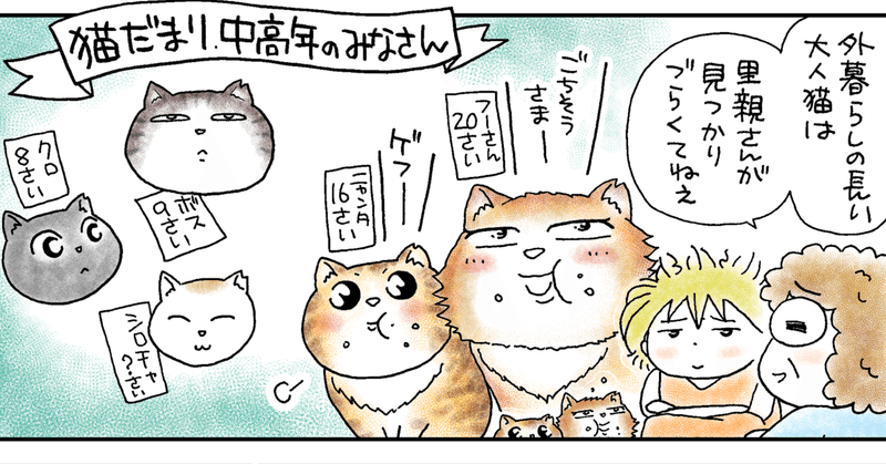 地域猫のフーさん とニャンタ 16 かどを曲がって猫だまり 3話 サクライマイコ アジト Note版マンガ雑誌 Note
