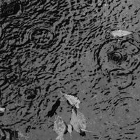 雨パ考察 ペリッパーの素早さについて あひるぽけ Note