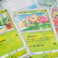 イーブイヒーローズ このカード 実は ヤバい です 幻影の覇者ゾロアーク 星乃々々 Hoshino Nono Note