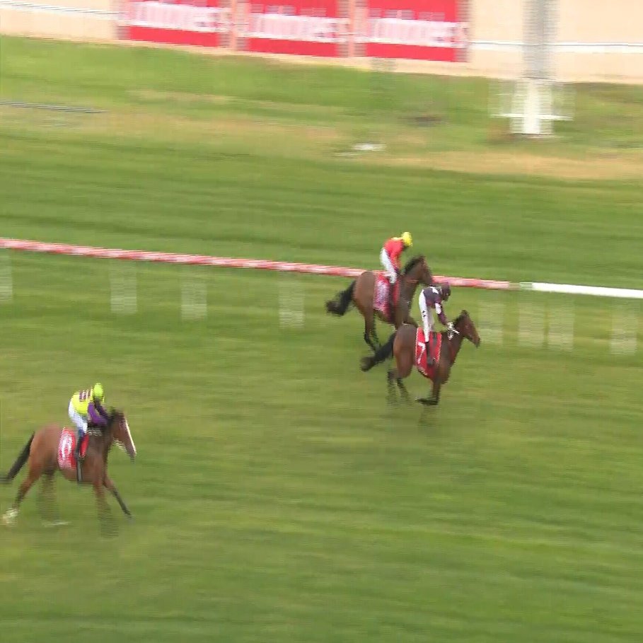 オーストラリアで馬主になる方法 エルから始まる物語 第5話 いよいよデビュー編 Rounders ラウンダーズ Note