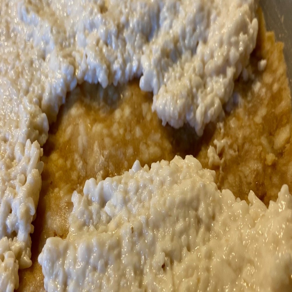 我が家の禁断の自家製どぶろく 実はドブロクが副産物で酒粕が主役なのである Kanako Echinacea Note