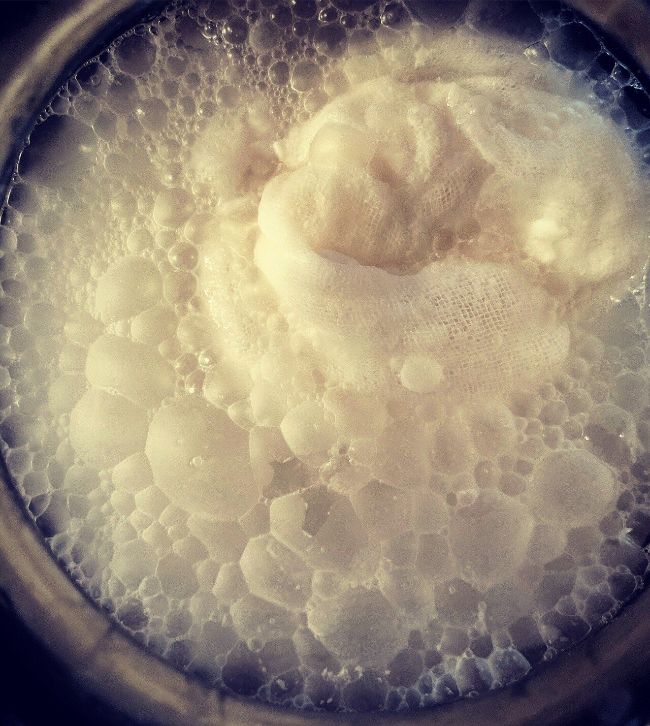 我が家の禁断の自家製どぶろく 実はドブロクが副産物で酒粕が主役なのである Kanako Echinacea Note 我が家の禁断の自家製どぶろく 実はドブロクが副産物で酒粕が主役なのである Kanako Echinacea Note