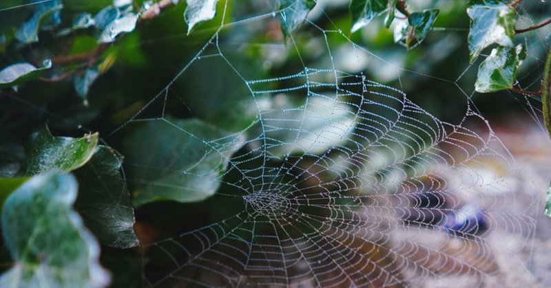 巣 夏野真碧 Natsuno Ao Note