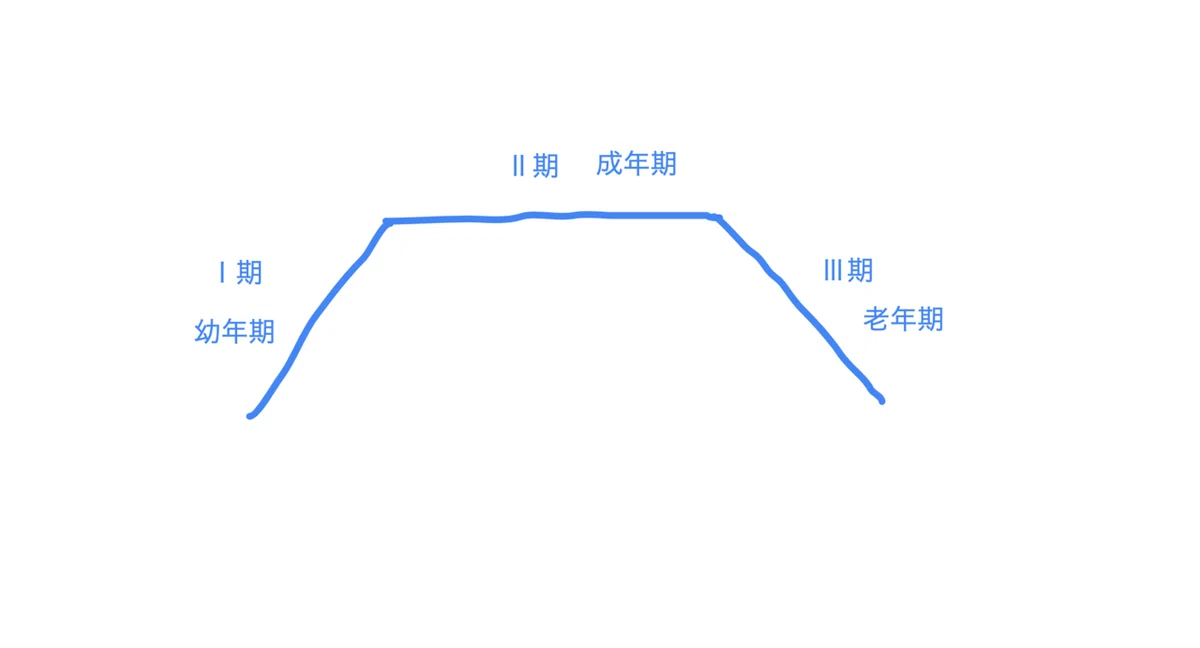 幼年成年老年期