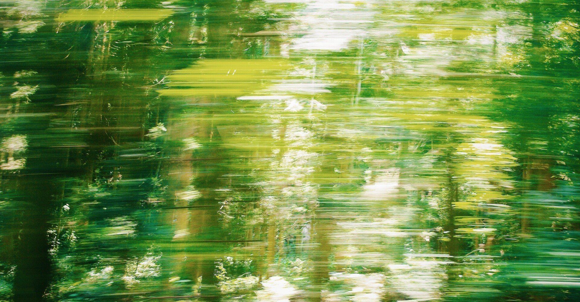 どこかの水槽の脳みそだったら 魚目ぴきお Note どこかの水槽の脳みそだったら 魚目ぴきお Note