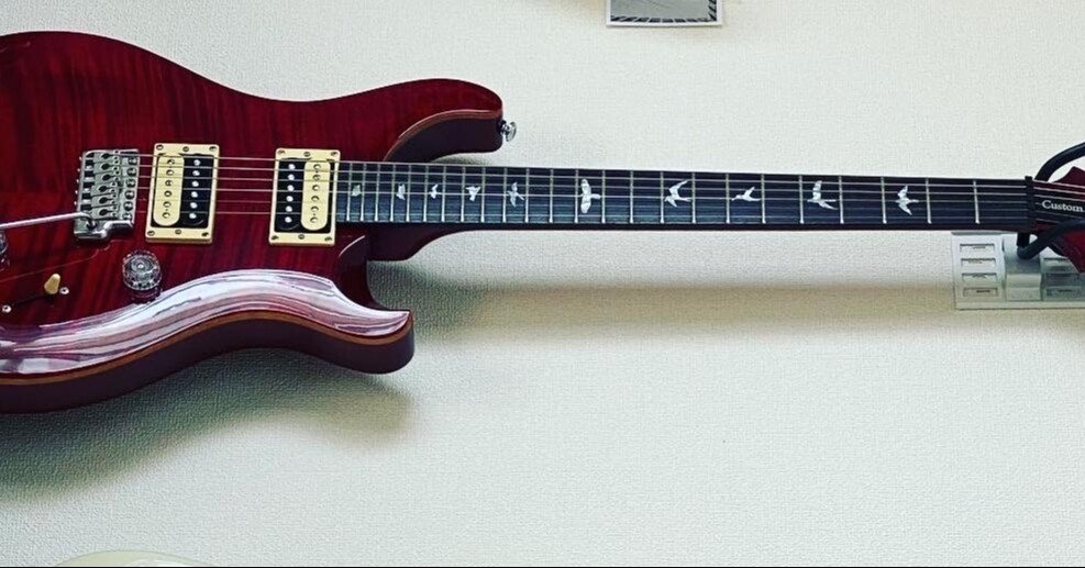 機材レビュー]Paul Reed Smith SE Custom 24(2016)｜Croquetteギター 